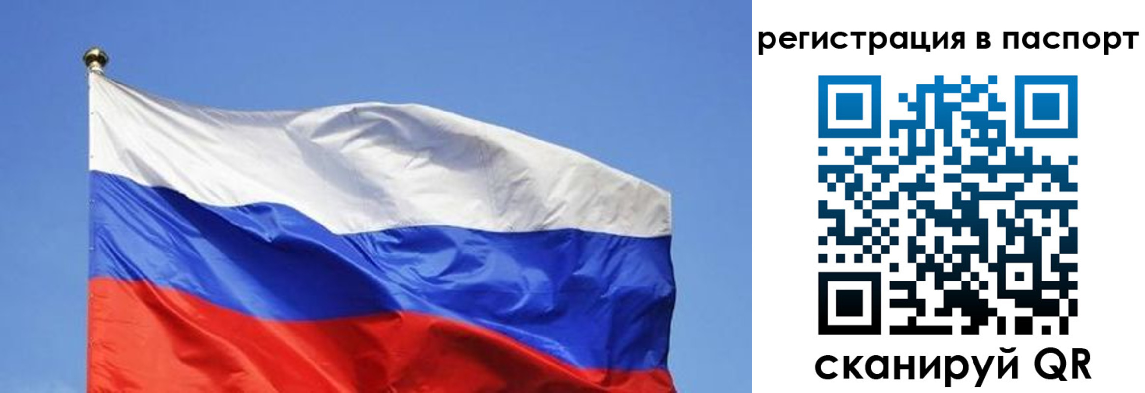прописка в квартире в Богородске